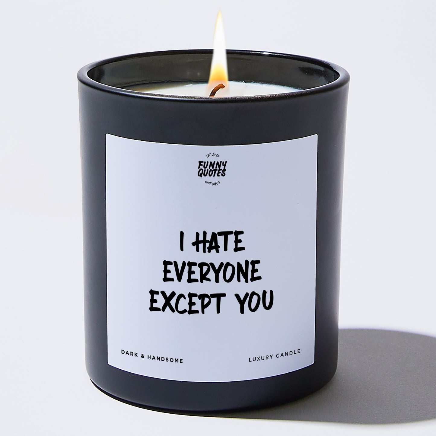 Fun Gift for Friends - I Hate Everyone Except You - Candle