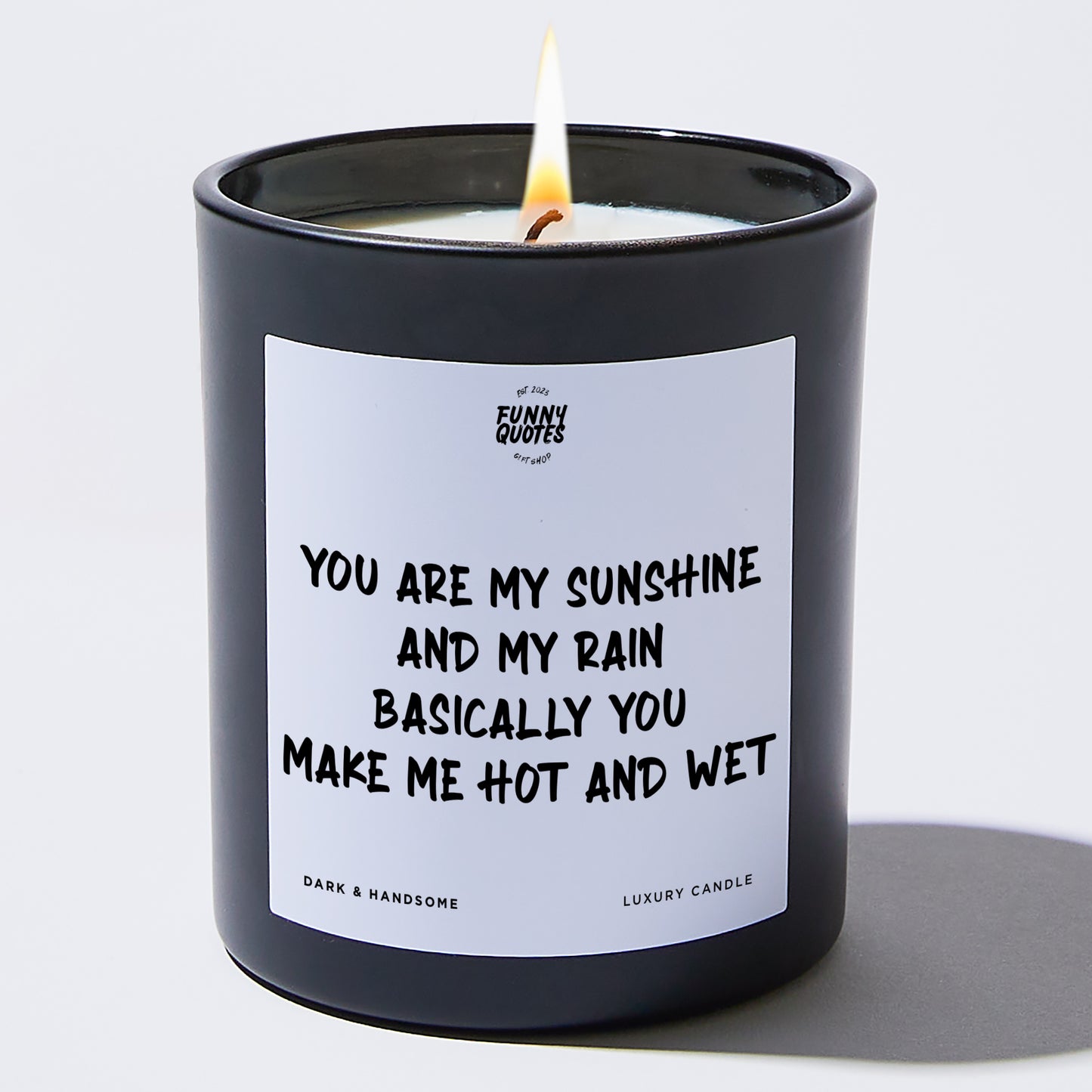 Anniversary Present - You Are My Sunshine and My Rain. Basically, You Make Me Hot and Wet - Candle