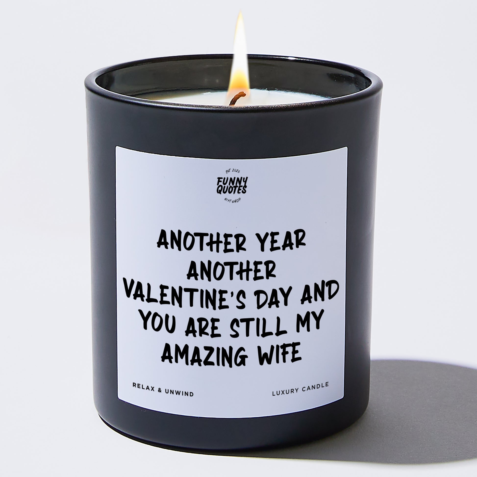 Anniversary Another Year, Another Valentine's Day, and You Are Still My Amazing Wife - Funny Quotes Gift Shop