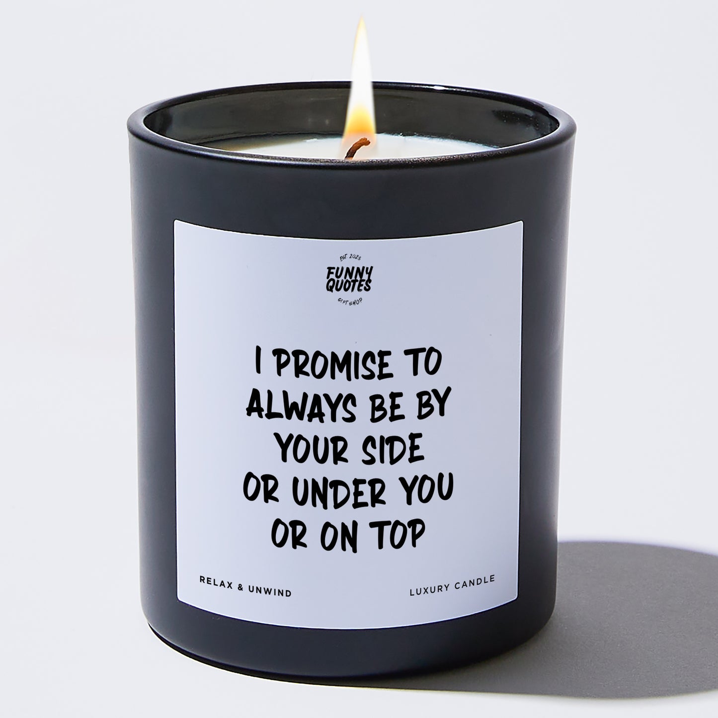 Anniversary I Promise to Always Be by Your Side or Under You or on Top - Funny Quotes Gift Shop