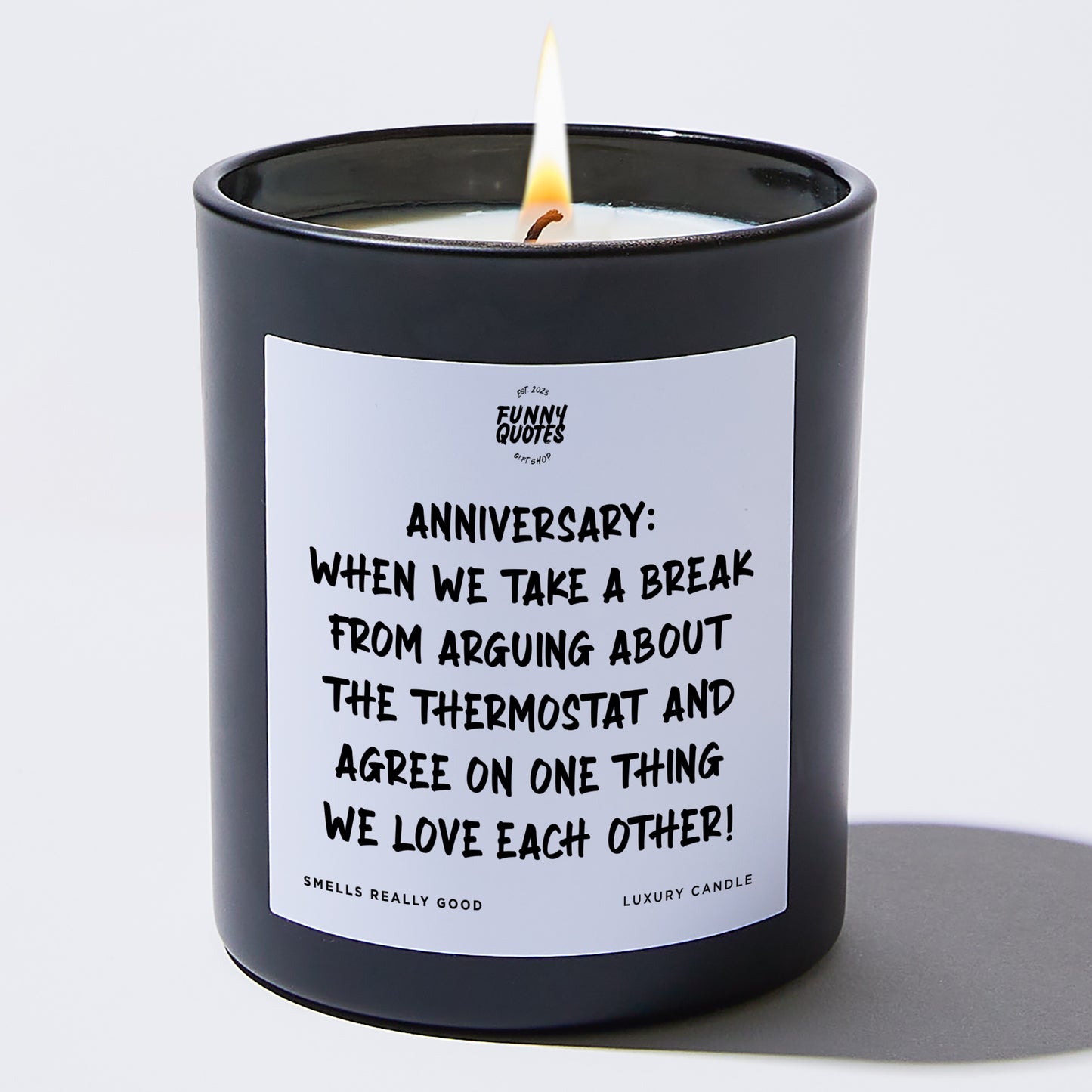 Anniversary Present - Anniversary: When We Take a Break From Arguing About the Thermostat and Agree on One Thing – We Love Each Other! - Candle