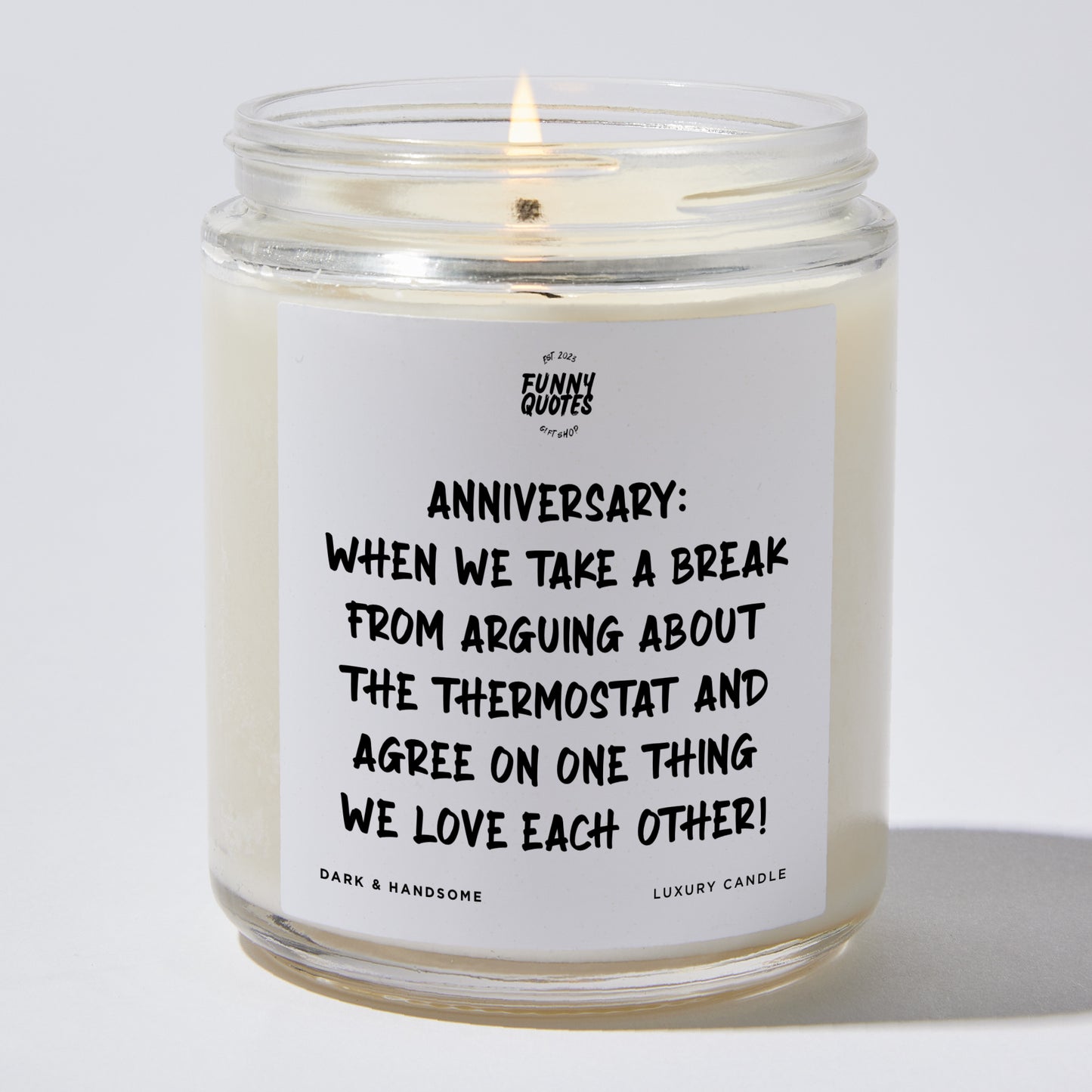 Anniversary Present - Anniversary: When We Take a Break From Arguing About the Thermostat and Agree on One Thing – We Love Each Other! - Candle