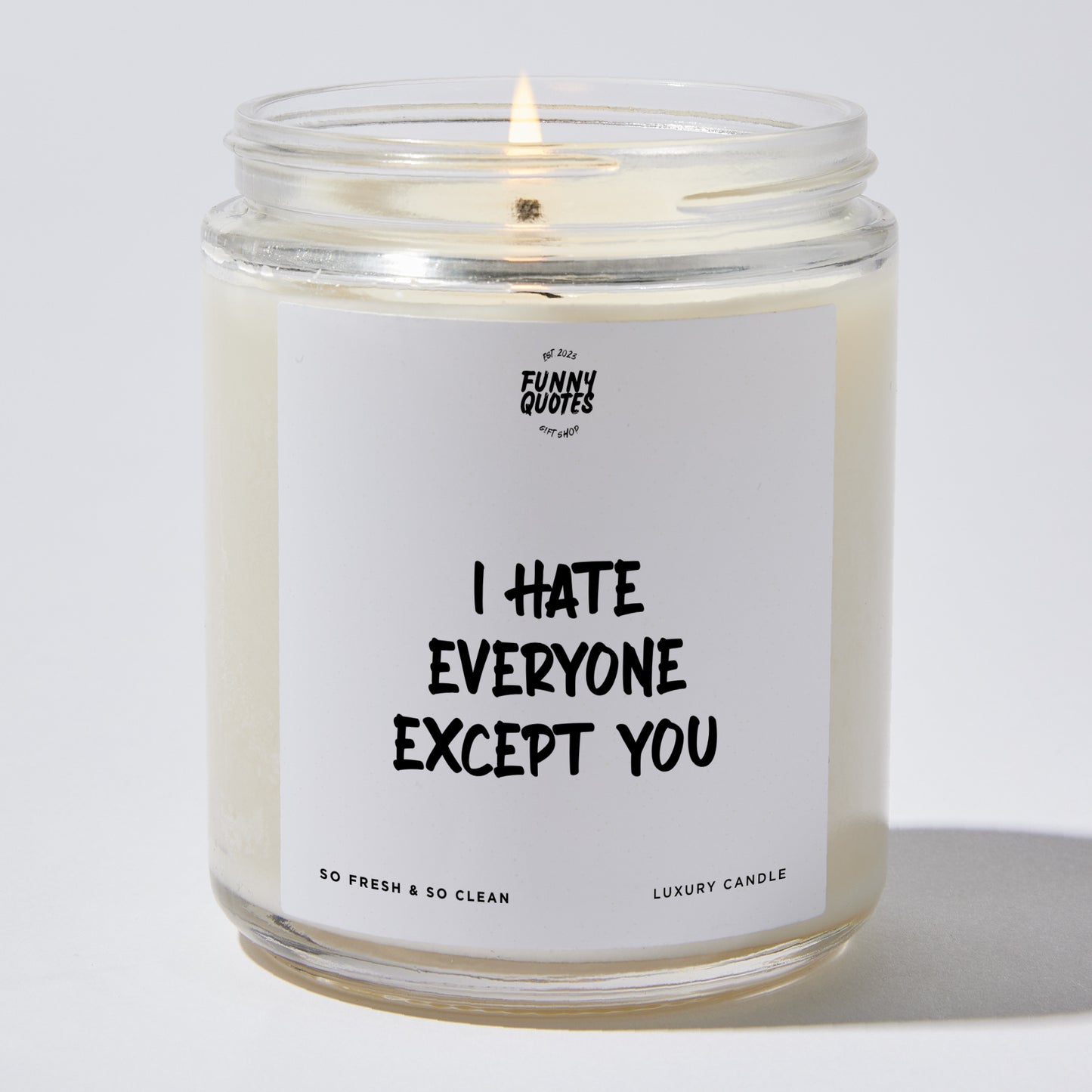 Fun Gift for Friends - I Hate Everyone Except You - Candle