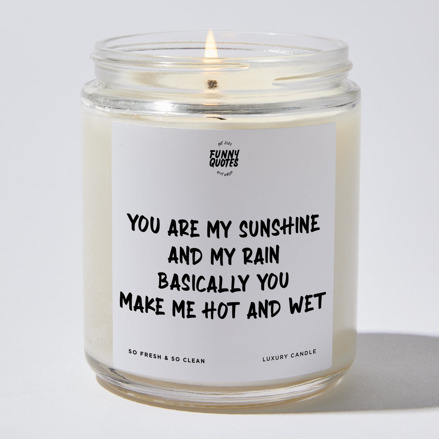 Anniversary Present - You Are My Sunshine and My Rain. Basically, You Make Me Hot and Wet - Candle